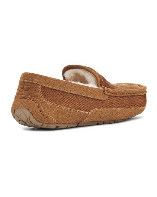 Ugg Brown Ascot Corduroy Ii 'Chestnut' for men