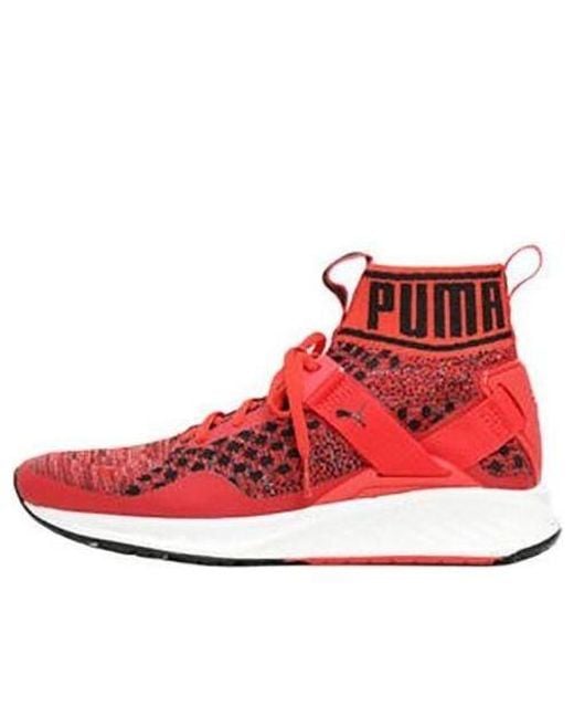 PUMA Red Ignite Evoknit for men