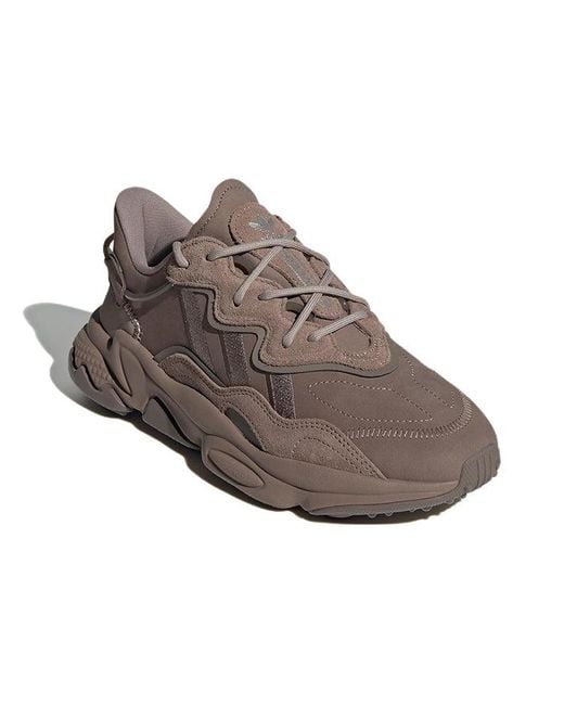 Adidas Brown Ozweego