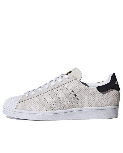 Adidas White Superstar 'Snakeskin for men