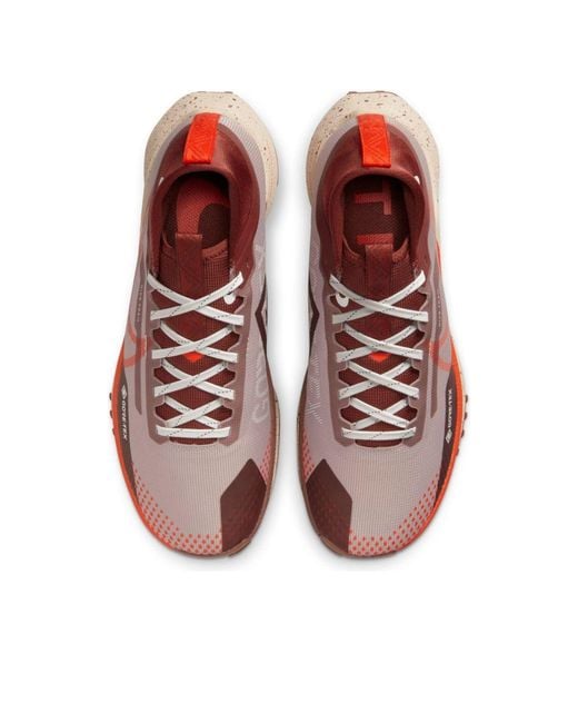 Nike Brown (Wmns) Pegasus Trail 4 Gtx 'Diffused Taupe'