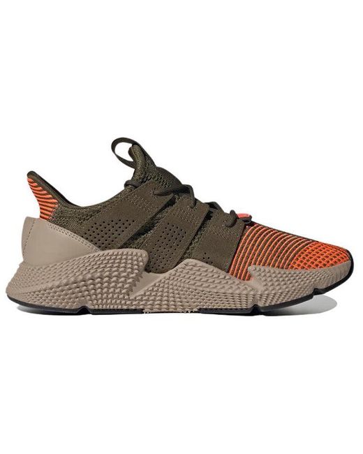 Adidas Brown Prophere for men