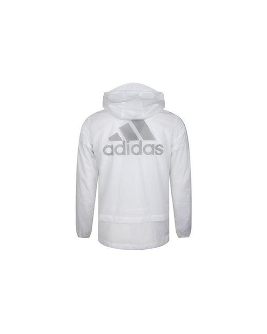 Adidas Blue Back Logo Woven Jacket for men