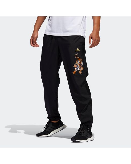 Adidas Black Astro Cny Printed Sports Pants for men