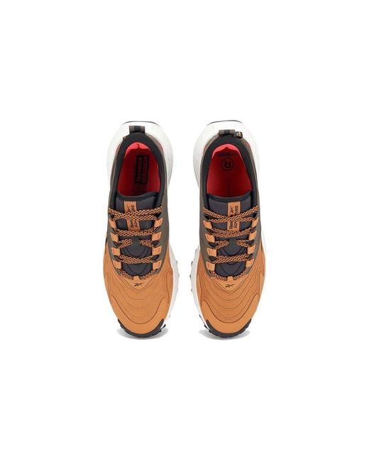 Reebok Brown Floatride Energy 5 Adventure 'Coubro Gro' for men