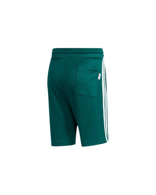 Adidas Green Neo Crossover Sports Shorts for men