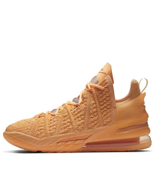 Nike Brown Lebron 18 'Sisterhood' for men