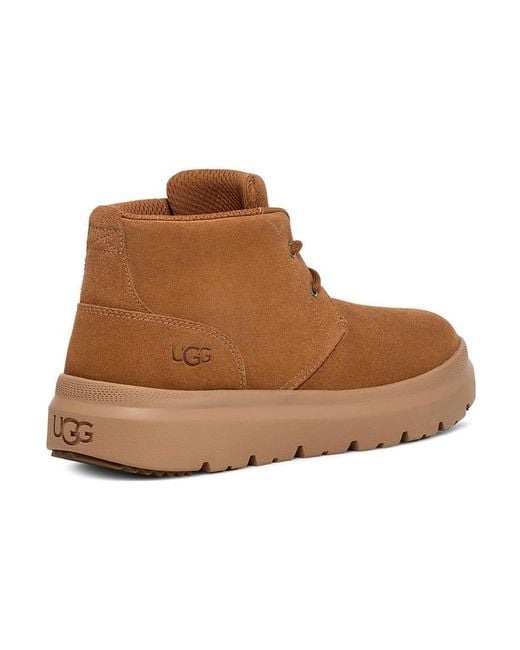Ugg Brown Burleigh Chukka Boot 'Chestnut' for men