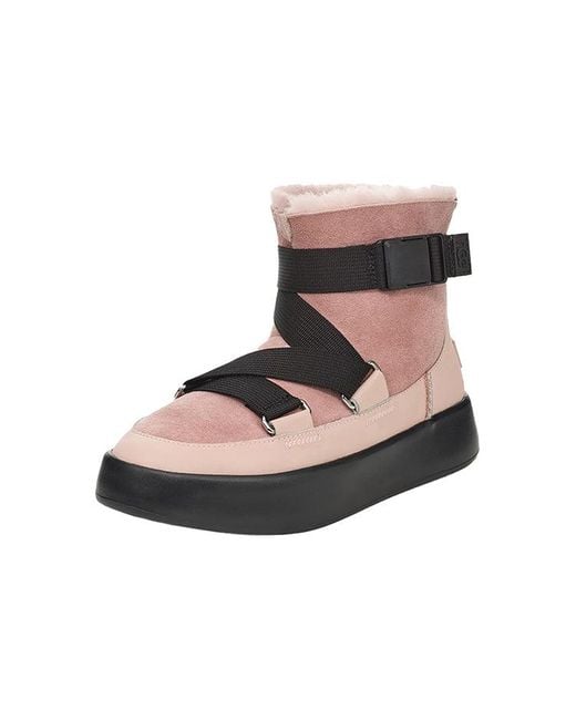 Ugg Brown (Wmns) Classic Boom Buckle