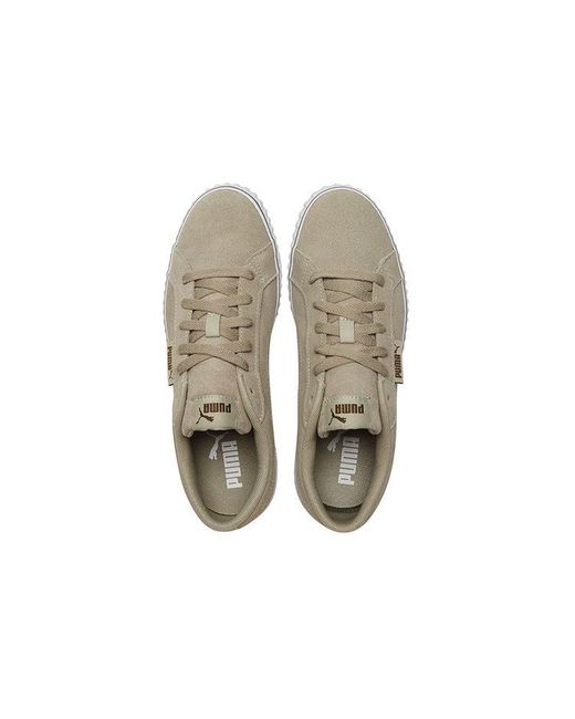 PUMA Brown Ever Lopro Sd Casual Skateboarding Shoes for men