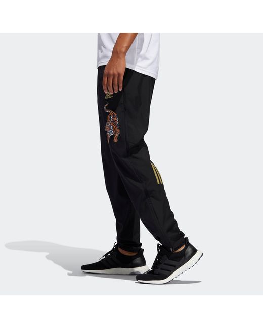 Adidas Black Astro Cny Printed Sports Pants for men