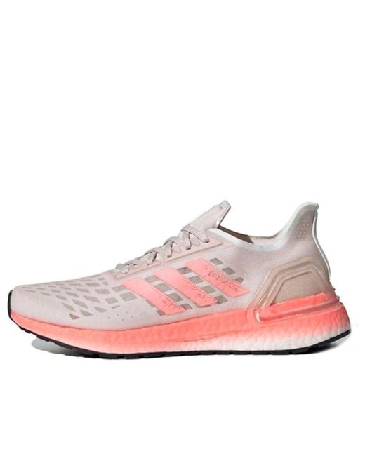 Adidas Pink (Wmns) Ultraboost Pb 'Echo'