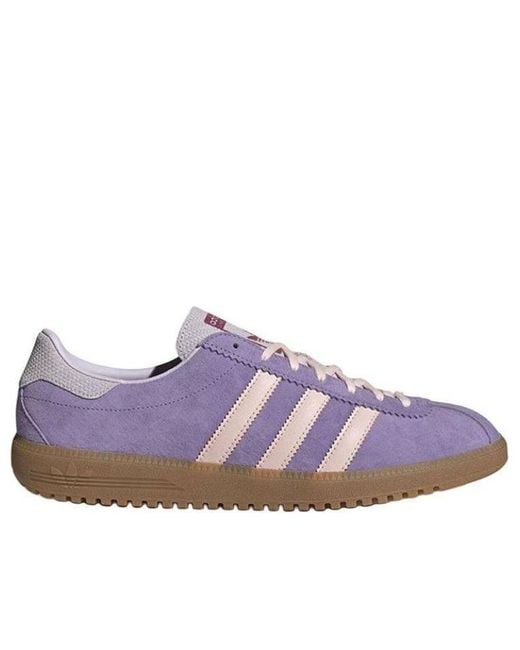 Adidas Purple Bermuda for men