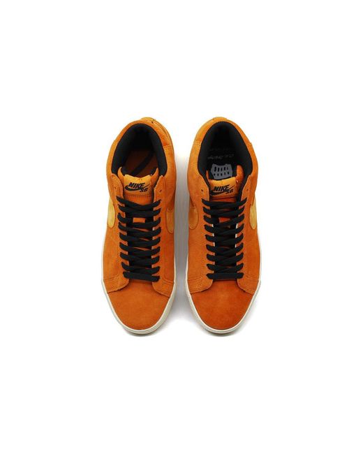 Nike Brown Blazer Premium Sb 'Lance Mountain' for men