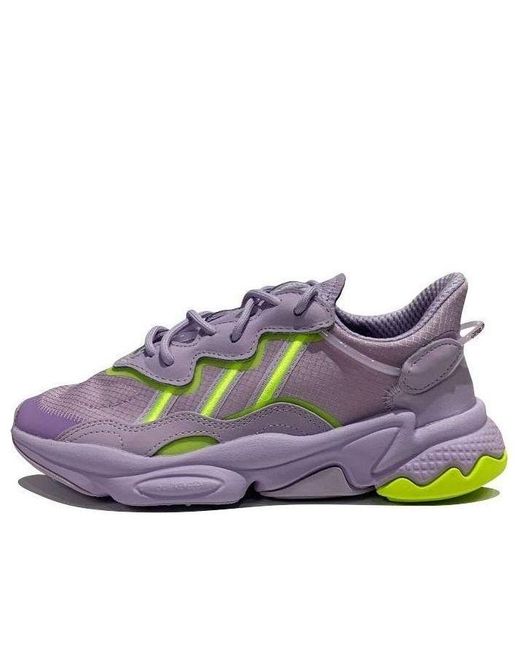 Adidas Purple (Wmns) Originals Niteball