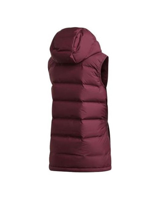 Adidas Purple (Wmns) Terrex Helionic Vest