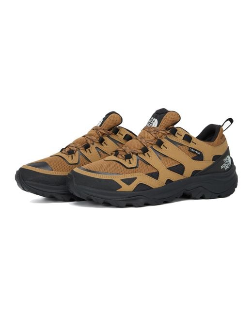 The North Face Brown Hedgehog Iii Waterproof Hiking Shoes 'Utility Tnf' for men