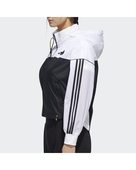 Adidas Blue (Wmns) Cva Wb Sports Jacket