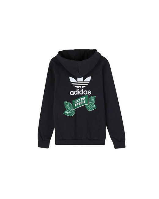 Adidas Blue New Originals 2019 Sports Jacket Graphic Track Top Gym for men