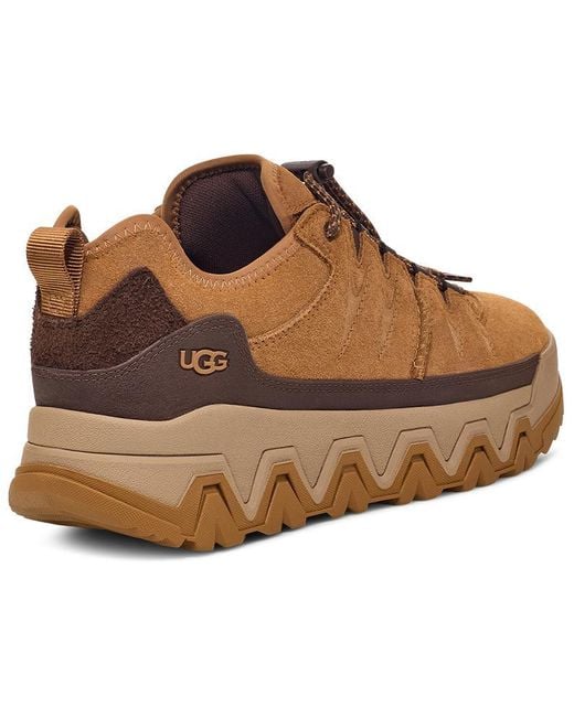 Ugg Brown Captrail Low-top Sneakers for men