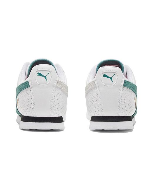 PUMA Blue Scuderia Ferrari X Roma for men