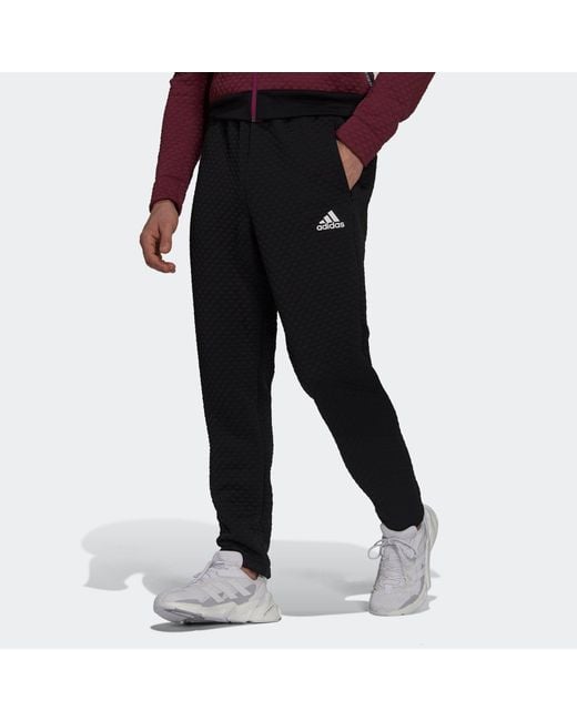 Adidas Black Z.N.E. Pt Rdy Casual Breathable Bundle Feet Sports Pants/Trousers/Joggers for men