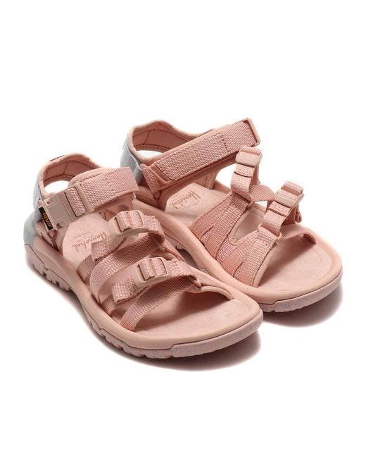 Teva Pink (Wmns) X Herschel Hurricane Xlt 2 Alp