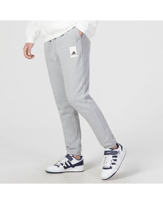 Adidas Gray Sportswear Lounge Sweatpants for men