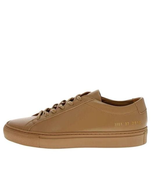 Common Projects Brown (Wmns) Achilles Low 'Dark'