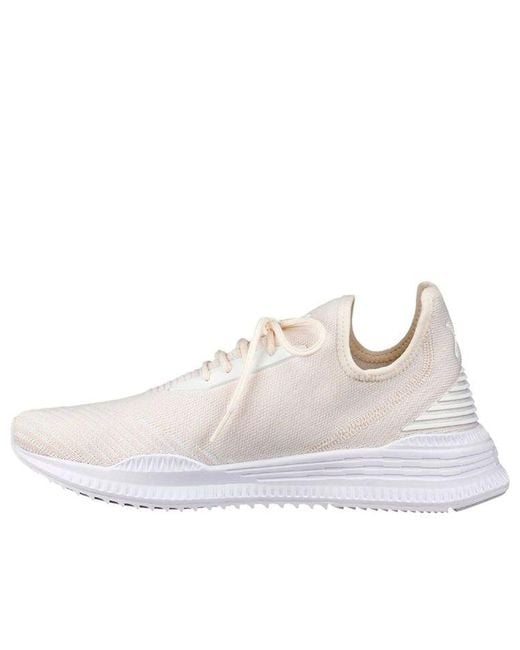 PUMA White Avid Evoknit for men