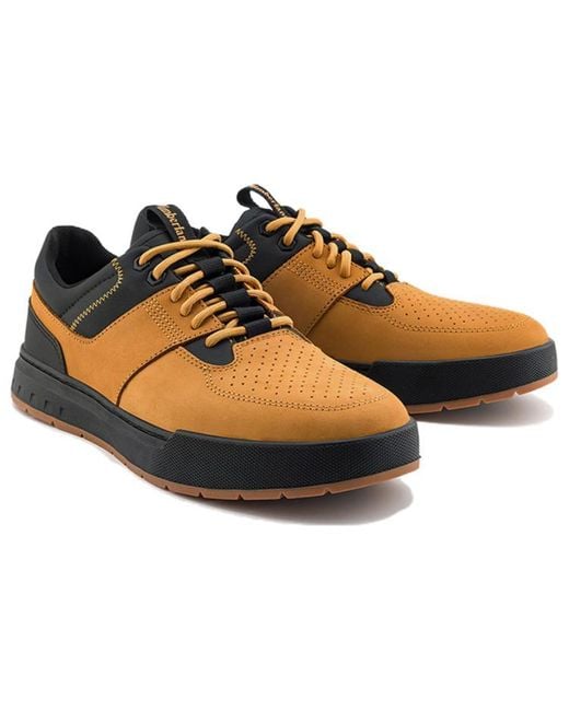 Timberland Blue Maple Grove Low 'Wheat' for men