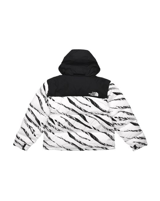 The North Face Black Nuptse Down Parka 700 for men