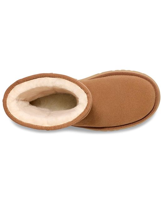 Ugg Brown (Wmns) Classic Short New Heights 'Chestnut'