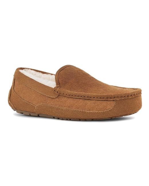 Ugg Brown Ascot Corduroy Ii 'Chestnut' for men