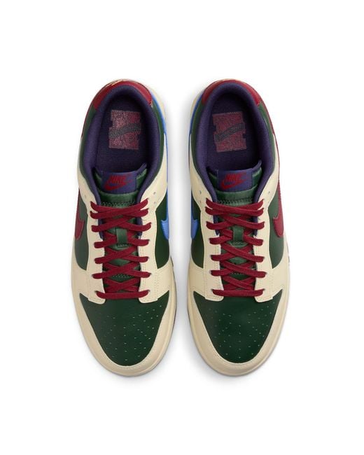 Nike Brown Dunk Low Retro Shoes for men