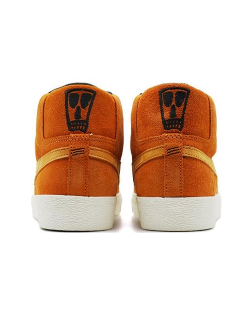 Nike Brown Blazer Premium Sb 'Lance Mountain' for men