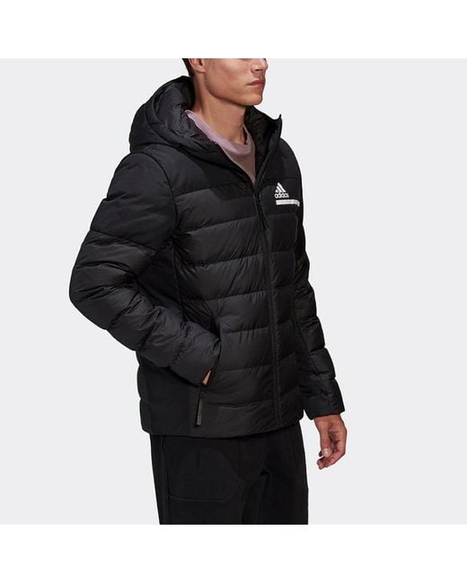 Adidas Blue Outdoor Sports Slim Fit Hooded Down Jacket for men
