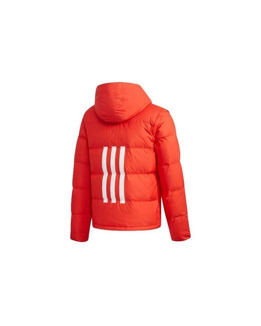 Adidas Red Neo Sports Hooded Detachable Long Sleeves Down Jacket for men