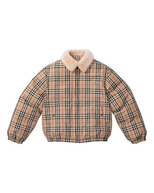 Supreme X Burberry Shearling Collar Down Puffer Jacket in Natural