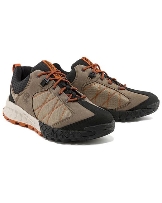 Timberland Brown Trailquest for men