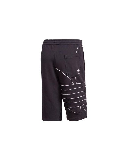 Adidas Blue Originals Logo Print Sports Shorts for men