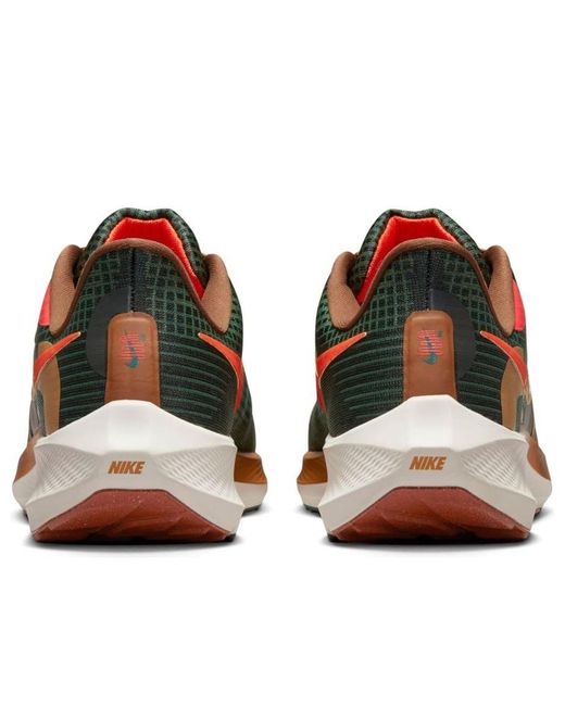 Nike Brown X Hola Lou Air Zoom Pegasus 39 'A.I.R. for men