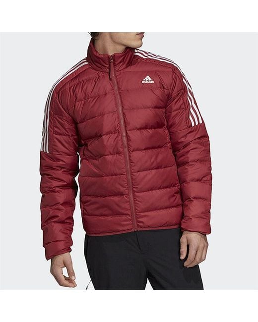 Adidas Red Logo Printing Stand Collar Stay Warm Sports Down Jacket for men