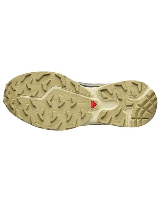 Salomon Blue Xt-6 Gum'