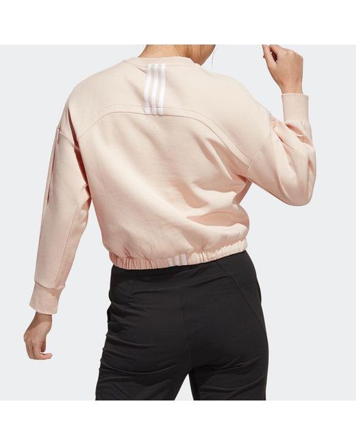 Adidas Natural (Wmns) Casual Sports Hoodie Pullover