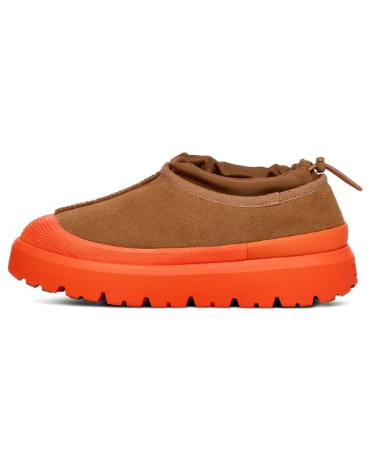 Ugg Brown Tasman Weather Hybrid Shoe for men