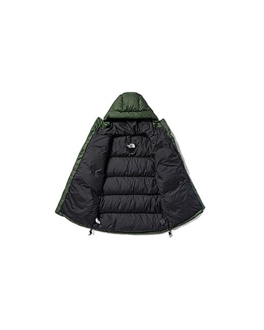 The North Face Winter Puffer Jacket 'Olivegreen' for men