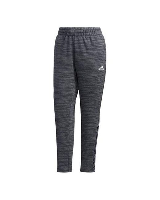 Adidas Gray (Wmns) Essentials Tape Pant