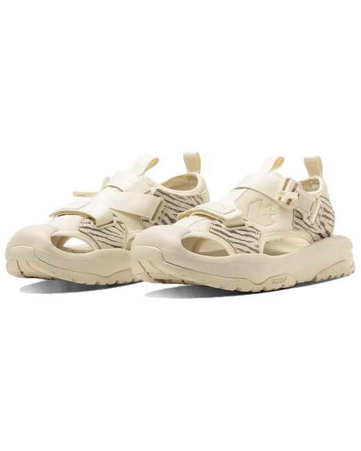 Converse Natural Msd Cp for men