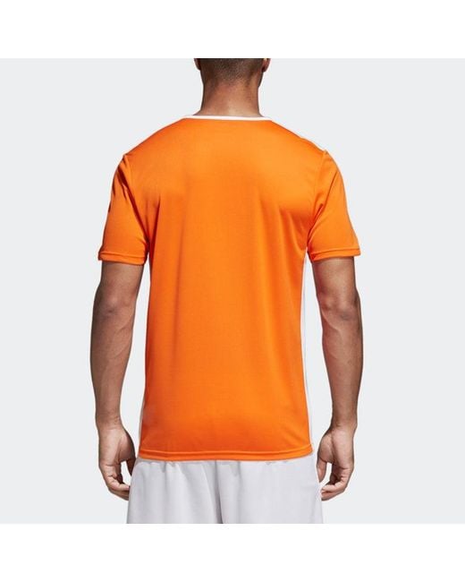 Adidas Orange Entrada 18 Jsy Casual Sports Soccer for men